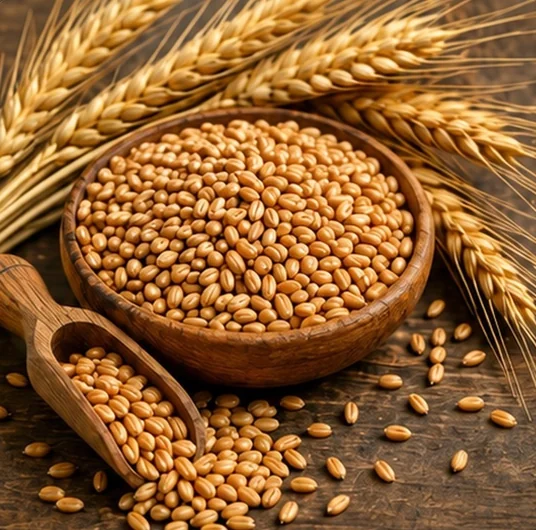 Wheat