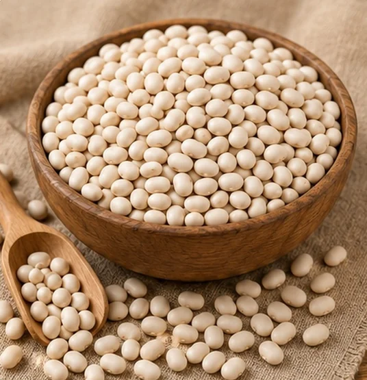 Navy Beans