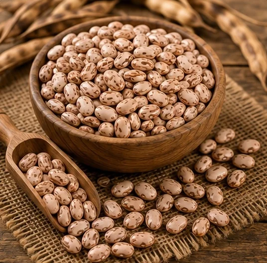 Pinto Beans
