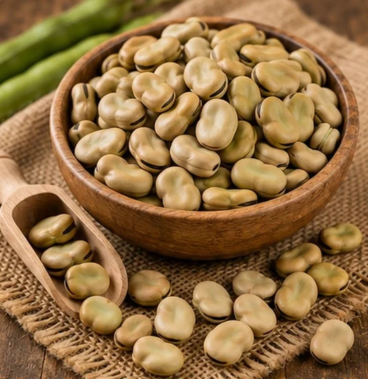 Broad Beans / Fava Beans