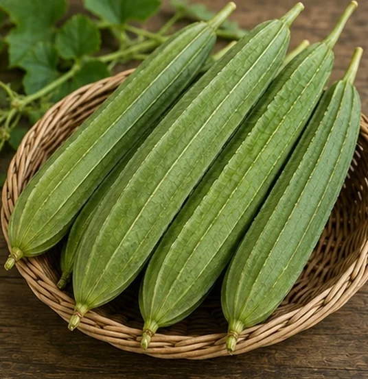 Ridge Gourd